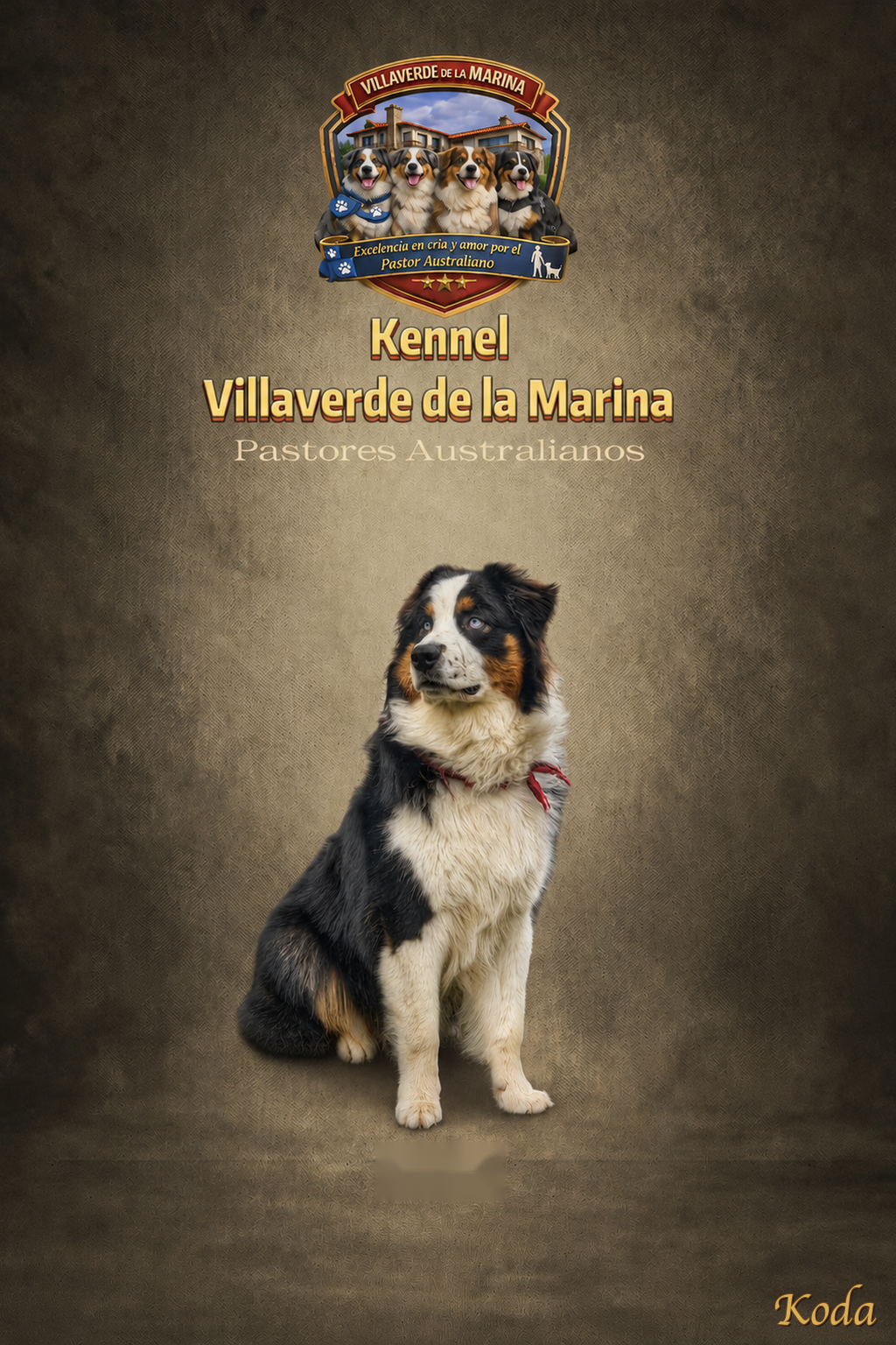 Koda villaverde de la marina