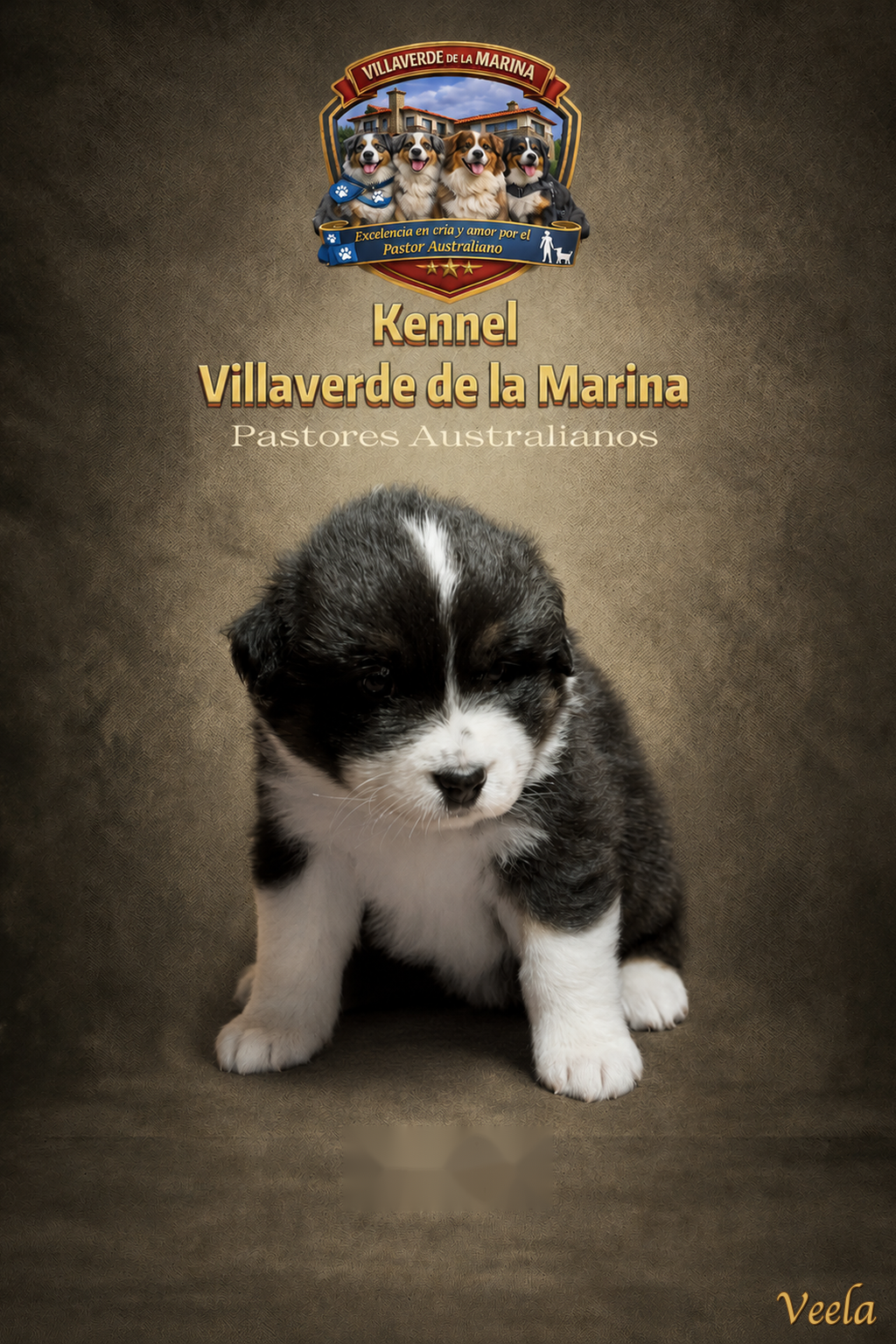 Veela