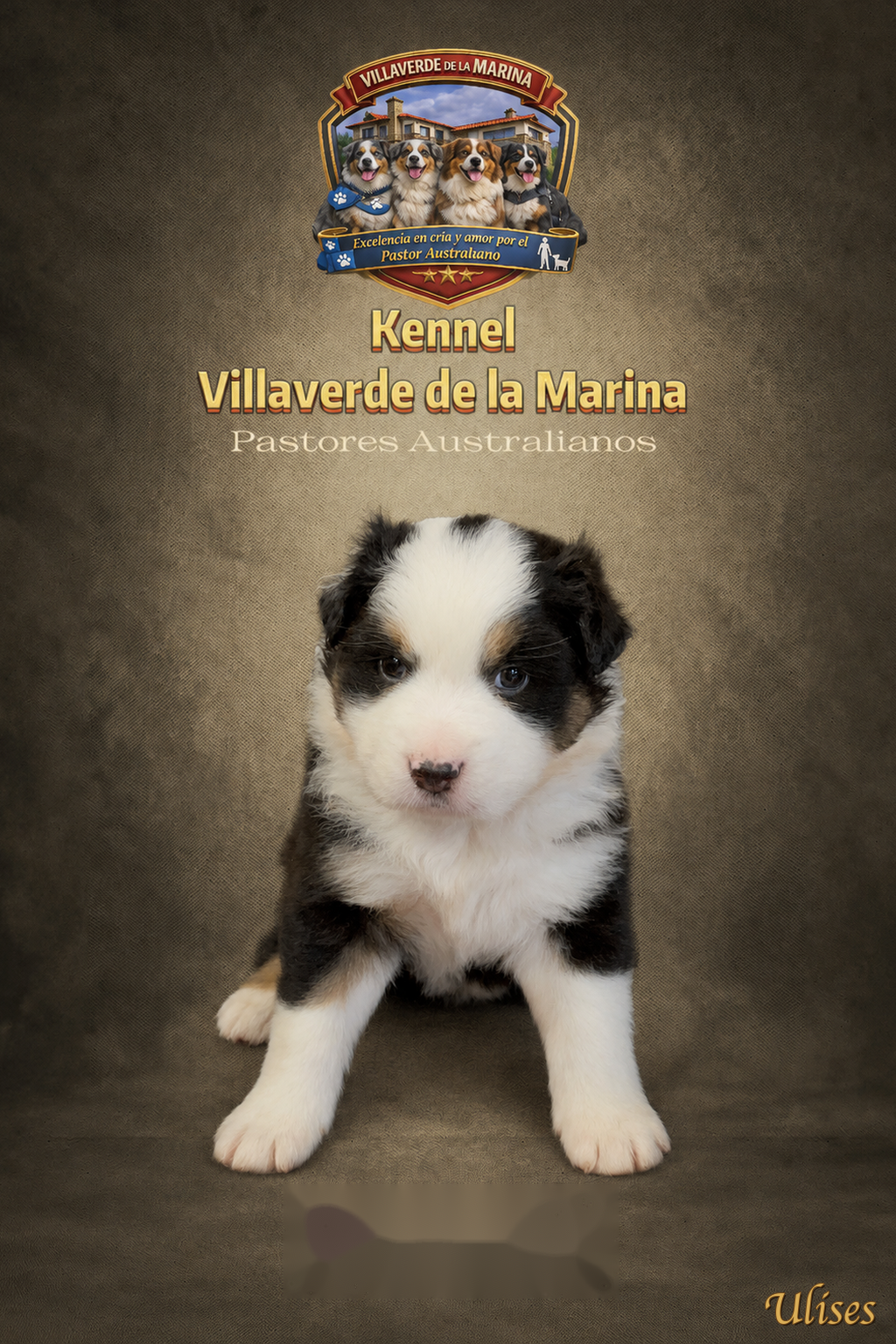 Ulises