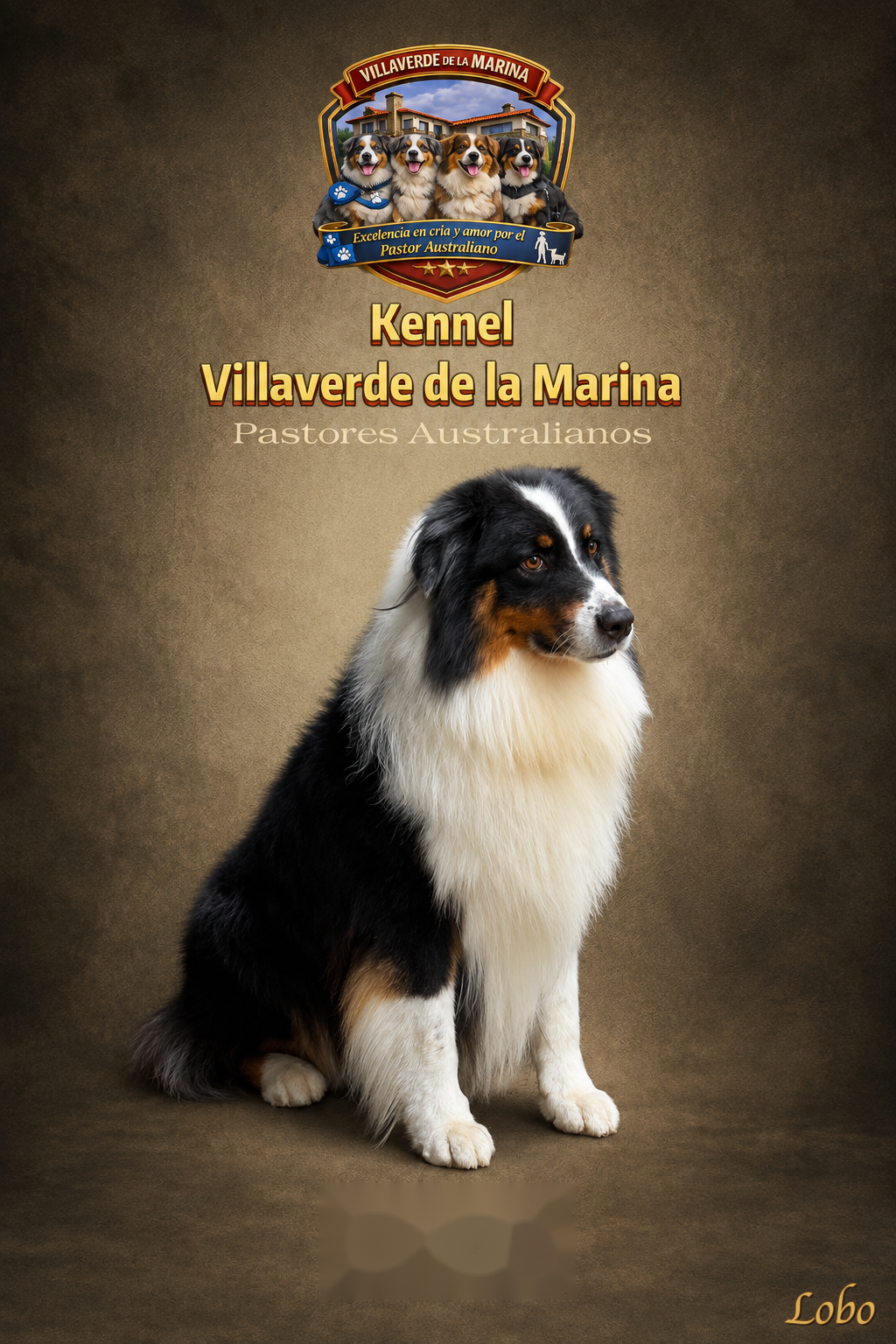 Lobo
