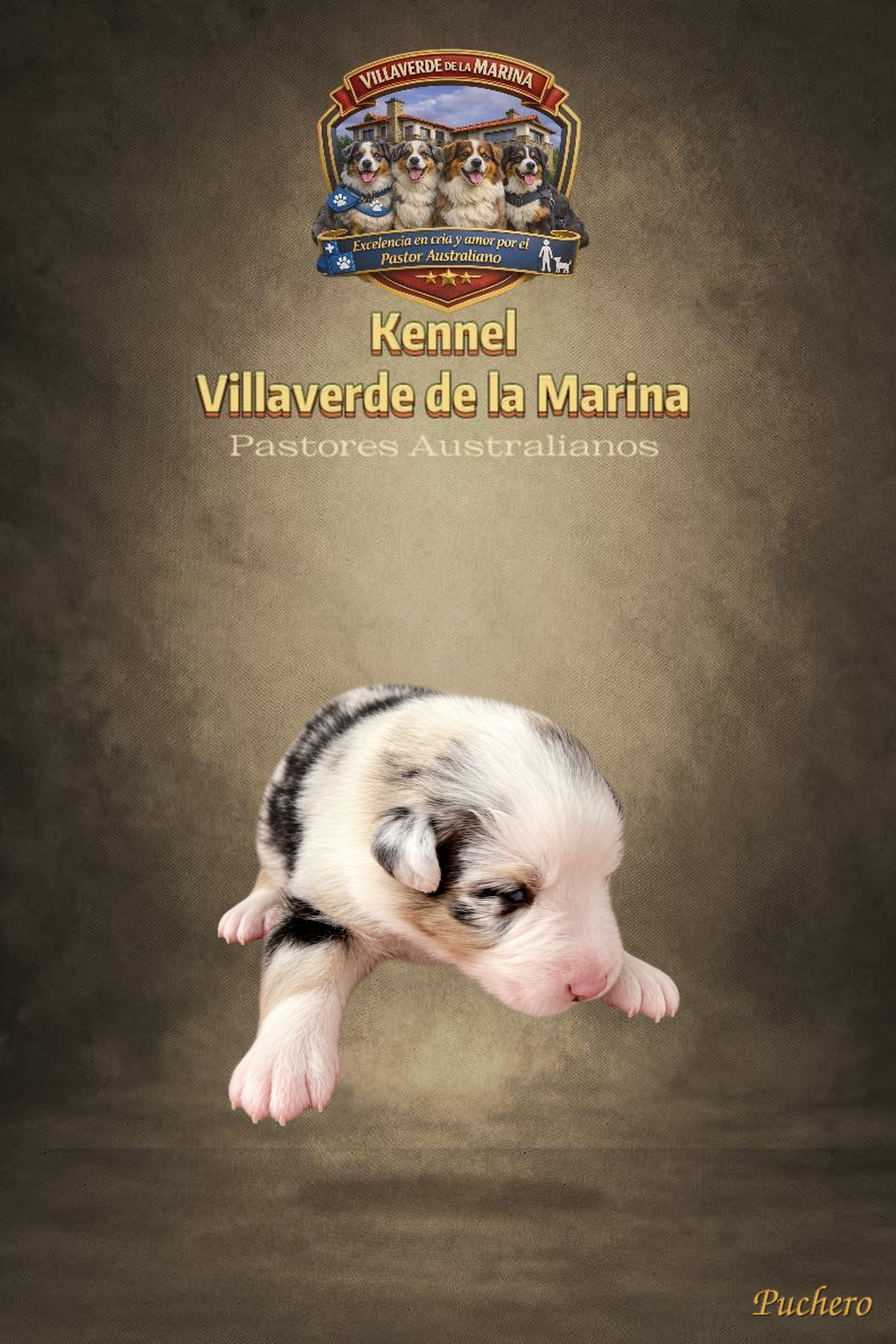 Puchero