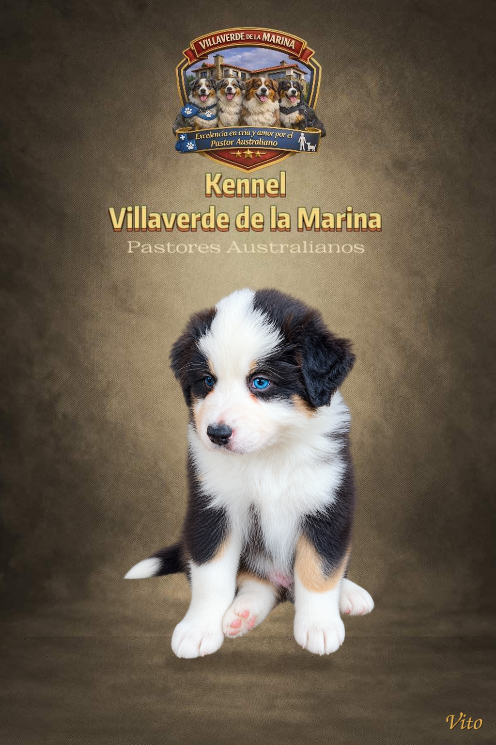 Vito