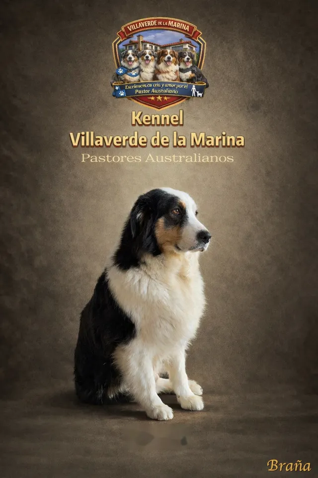 Braña